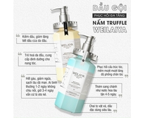 Bộ dầu gội phục hồi đa tầng Nấm Truffle Weilaiya 450ml