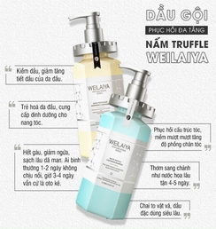 Bộ dầu gội phục hồi đa tầng Nấm Truffle Weilaiya 450ml