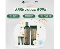 Cặp dầu gội xả gừng hà thủ ô kích mọc tóc Weilaiya Zingiber Officinale Juice 